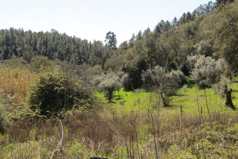 Helårsgrund i Sardoal, Santarem, Sardoal - € 16.000 | Ref: P24-198 - foto 7