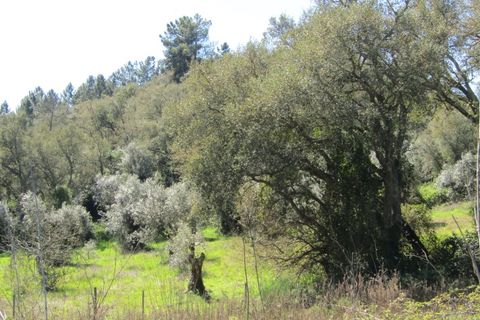 Helårsgrund i Sardoal, Santarem, Sardoal - € 16.000 | Ref: P24-198 - foto 9