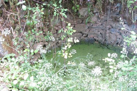 Terra a Mouriscas, Santarem, Mouriscas - € 56.000 | Ref: P24-201 - foto 8