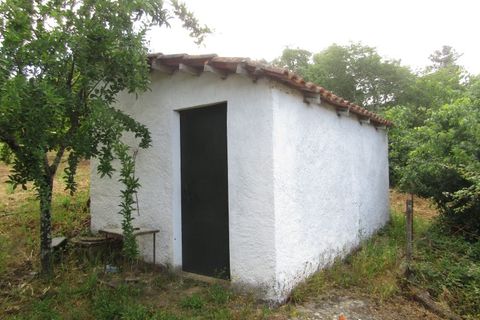 Terra a Mouriscas, Santarem, Mouriscas - € 56.000 | Ref: P24-201 - foto 6