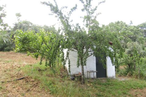 Terra a Mouriscas, Santarem, Mouriscas - € 56.000 | Ref: P24-201 - foto 7