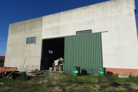 Bungalou a Ponte de Sor, Portalegre, Ponte de Sor - € 999.000 | Ref: P24-182 - foto 5