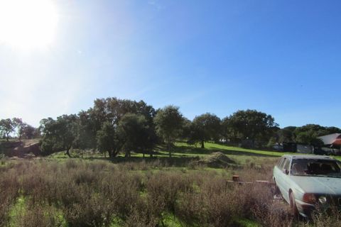 Bungalou a Ponte de Sor, Portalegre, Ponte de Sor - € 999.000 | Ref: P24-182 - foto 15
