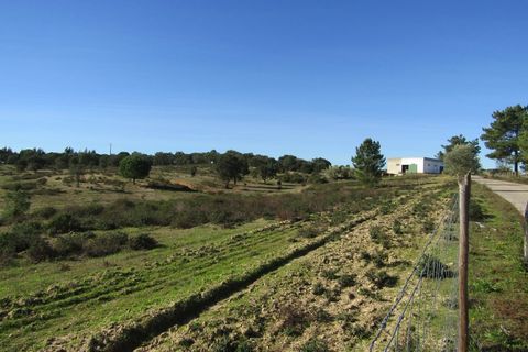 Bungalou a Ponte de Sor, Portalegre, Ponte de Sor - € 999.000 | Ref: P24-182 - foto 17