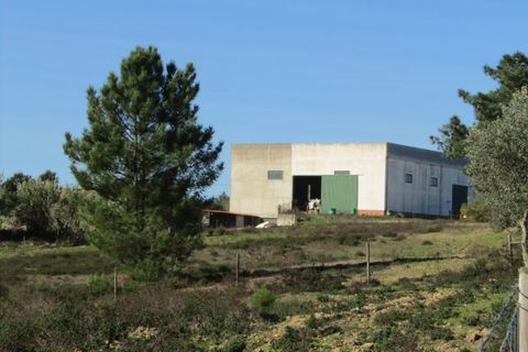 Bungalou a Ponte de Sor, Portalegre, Ponte de Sor - € 999.000 | Ref: P24-182 - foto 18