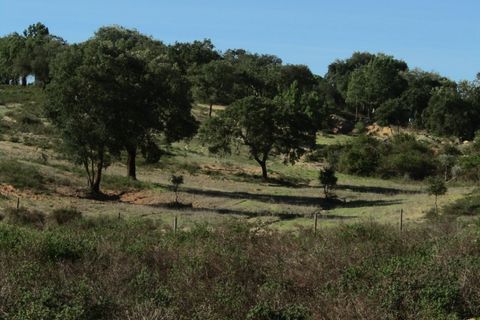 Bungalou a Ponte de Sor, Portalegre, Ponte de Sor - € 999.000 | Ref: P24-182 - foto 19