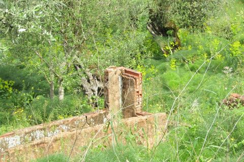 Helårsgrund i Tomar, Santarem, Tomar - € 52.500 | Ref: P24-200 - foto 3