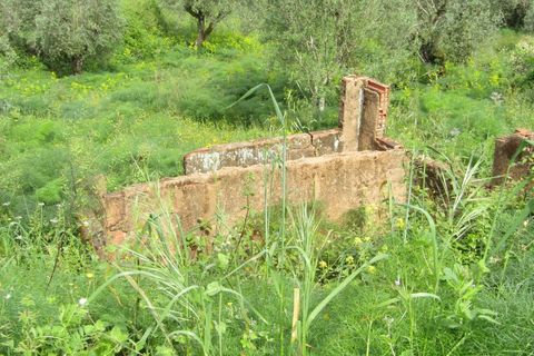Helårsgrund i Tomar, Santarem, Tomar - € 52.500 | Ref: P24-200 - foto 2