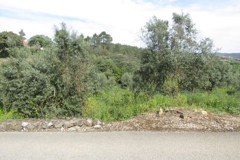 Helårsgrund i Tomar, Santarem, Tomar - € 52.500 | Ref: P24-200 - foto 7