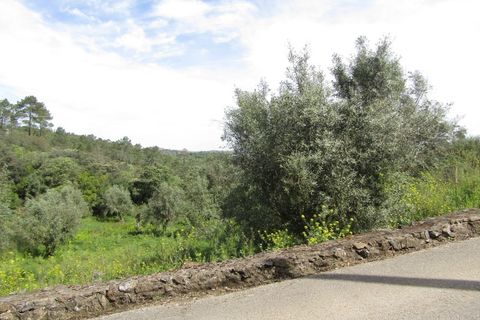 Helårsgrund i Tomar, Santarem, Tomar - € 52.500 | Ref: P24-200 - foto 9