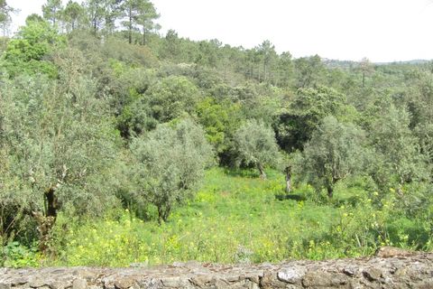 Helårsgrund i Tomar, Santarem, Tomar - € 52.500 | Ref: P24-200 - foto 10