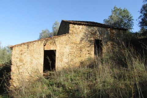 Helårsgrund i Abrantes, Santarem, Abrantes - € 38.000 | Ref: P22-142 - foto 1