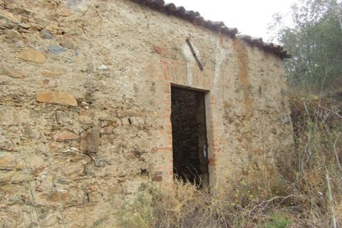 Helårsgrund i Abrantes, Santarem, Abrantes - € 38.000 | Ref: P22-142 - foto 2
