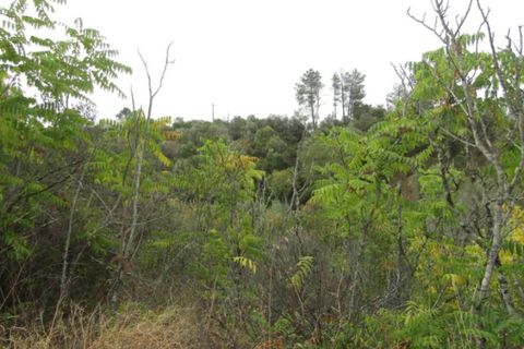 Helårsgrund i Abrantes, Santarem, Abrantes - € 38.000 | Ref: P22-142 - foto 9