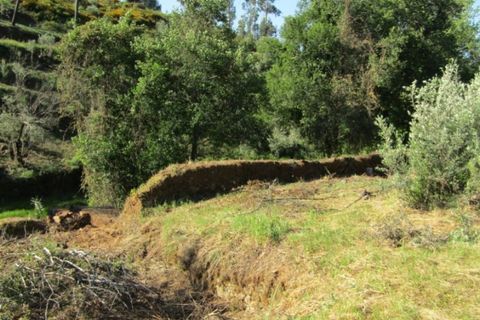 Ruïna a Sardoal, Santarem, Sardoal - € 48.000 | Ref: P22-141 - foto 2
