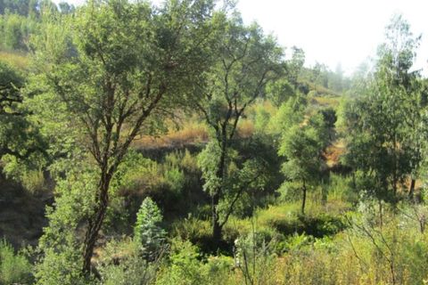 Helårsgrund i Sardoal, Santarem, Sardoal - € 14.500 | Ref: P22-119 - foto 2