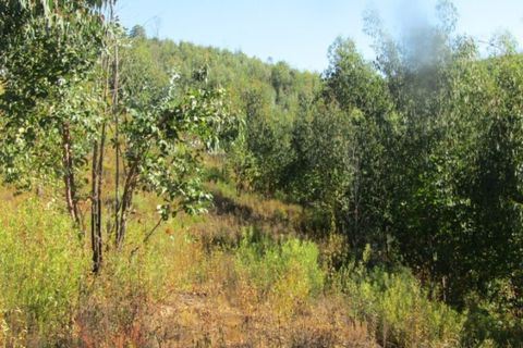 Helårsgrund i Sardoal, Santarem, Sardoal - € 14.500 | Ref: P22-119 - foto 3