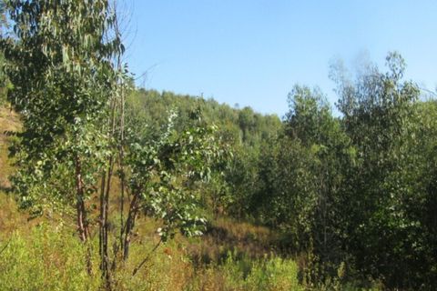 Helårsgrund i Sardoal, Santarem, Sardoal - € 14.500 | Ref: P22-119 - foto 4
