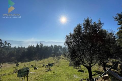 Helårsgrund i Arcos de Valdevez, Viana do Castelo, Arcos de Valdevez - € 110.000 | Ref: PTL-004-009 - foto 5