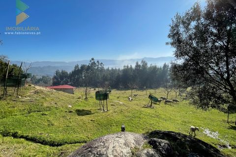 Helårsgrund i Arcos de Valdevez, Viana do Castelo, Arcos de Valdevez - € 110.000 | Ref: PTL-004-009 - foto 6