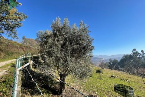 Helårsgrund i Arcos de Valdevez, Viana do Castelo, Arcos de Valdevez - € 110.000 | Ref: PTL-004-009 - foto 7