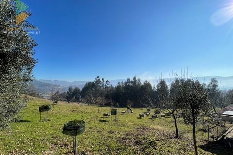 Helårsgrund i Arcos de Valdevez, Viana do Castelo, Arcos de Valdevez - € 110.000 | Ref: PTL-004-009 - foto 9
