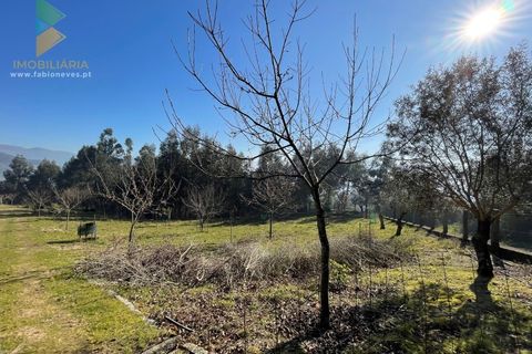 Helårsgrund i Arcos de Valdevez, Viana do Castelo, Arcos de Valdevez - € 110.000 | Ref: PTL-004-009 - foto 10