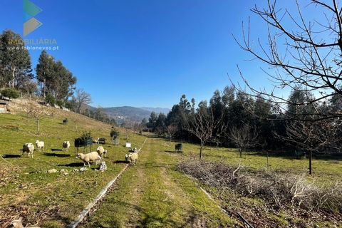 Helårsgrund i Arcos de Valdevez, Viana do Castelo, Arcos de Valdevez - € 110.000 | Ref: PTL-004-009 - foto 11