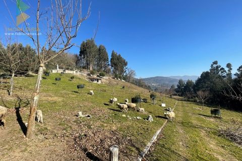 Helårsgrund i Arcos de Valdevez, Viana do Castelo, Arcos de Valdevez - € 110.000 | Ref: PTL-004-009 - foto 12