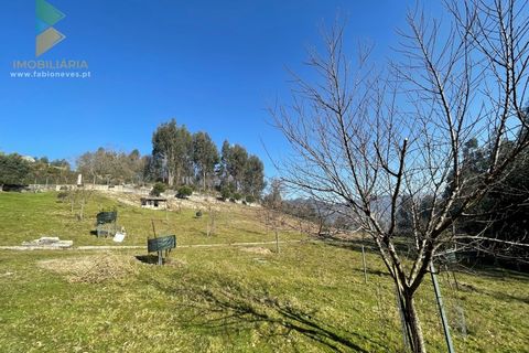 Helårsgrund i Arcos de Valdevez, Viana do Castelo, Arcos de Valdevez - € 110.000 | Ref: PTL-004-009 - foto 15