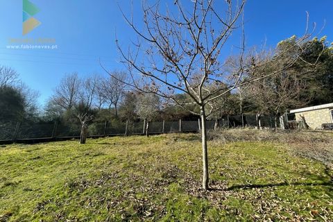 Helårsgrund i Arcos de Valdevez, Viana do Castelo, Arcos de Valdevez - € 110.000 | Ref: PTL-004-009 - foto 16