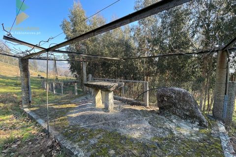 Helårsgrund i Arcos de Valdevez, Viana do Castelo, Arcos de Valdevez - € 110.000 | Ref: PTL-004-009 - foto 17