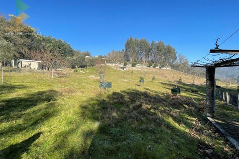 Helårsgrund i Arcos de Valdevez, Viana do Castelo, Arcos de Valdevez - € 110.000 | Ref: PTL-004-009 - foto 19