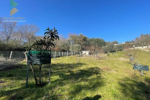 Helårsgrund i Arcos de Valdevez, Viana do Castelo, Arcos de Valdevez - € 110.000 | Ref: PTL-004-009 - foto 20