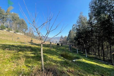 Helårsgrund i Arcos de Valdevez, Viana do Castelo, Arcos de Valdevez - € 110.000 | Ref: PTL-004-009 - foto 21