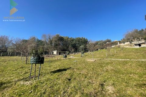 Helårsgrund i Arcos de Valdevez, Viana do Castelo, Arcos de Valdevez - € 110.000 | Ref: PTL-004-009 - foto 22