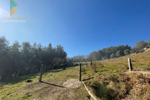 Helårsgrund i Arcos de Valdevez, Viana do Castelo, Arcos de Valdevez - € 110.000 | Ref: PTL-004-009 - foto 23