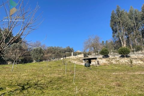 Helårsgrund i Arcos de Valdevez, Viana do Castelo, Arcos de Valdevez - € 110.000 | Ref: PTL-004-009 - foto 25