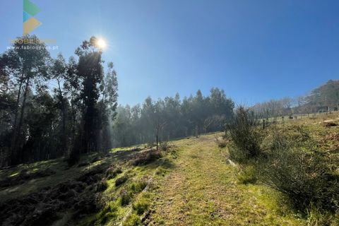 Helårsgrund i Arcos de Valdevez, Viana do Castelo, Arcos de Valdevez - € 110.000 | Ref: PTL-004-009 - foto 26