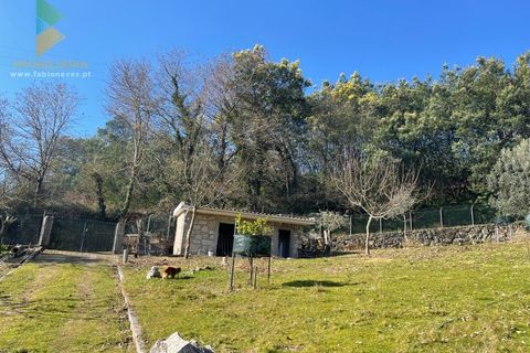 Helårsgrund i Arcos de Valdevez, Viana do Castelo, Arcos de Valdevez - € 110.000 | Ref: PTL-004-009 - foto 29
