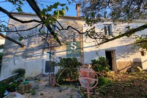 Villa i Coimbra, Coimbra, Coimbra - € 240.000 | Ref: SH 0039-2024 - foto 43