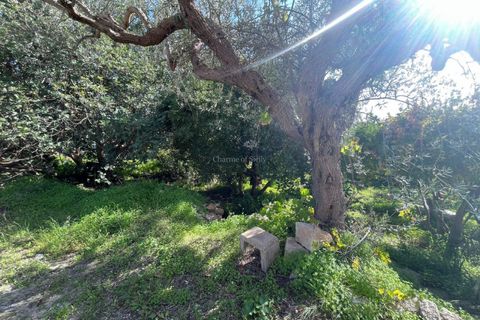 Villa i Modica, Ragusa, Modica - € 87.000 | Ref: V 127 - foto 11
