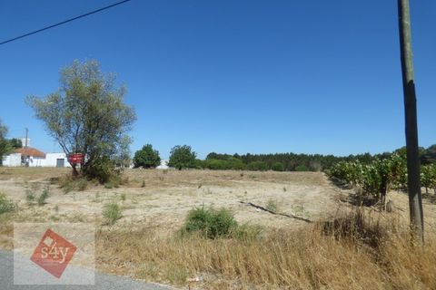 Helårsgrund i Montijo, Setubal, Montijo - € 55.000 | Ref: S4Y-TV19-M - foto 1