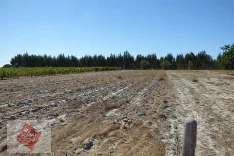 Helårsgrund i Montijo, Setubal, Montijo - € 55.000 | Ref: S4Y-TV19-M - foto 2