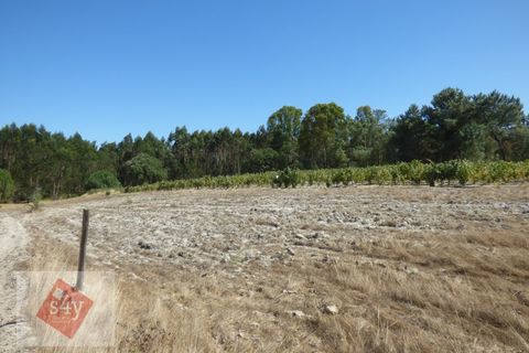 Helårsgrund i Montijo, Setubal, Montijo - € 55.000 | Ref: S4Y-TV19-M - foto 3
