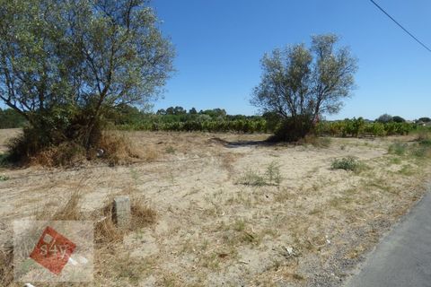 Helårsgrund i Montijo, Setubal, Montijo - € 55.000 | Ref: S4Y-TV19-M - foto 4
