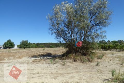 Helårsgrund i Montijo, Setubal, Montijo - € 55.000 | Ref: S4Y-TV19-M - foto 5