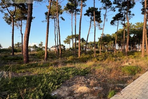 Helårsgrund i Almada, Setubal, Almada - € 1.100.000 | Ref: TER_1370 - foto 3