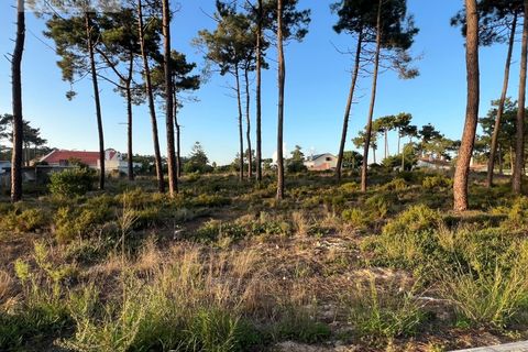 Helårsgrund i Almada, Setubal, Almada - € 1.100.000 | Ref: TER_1370 - foto 4