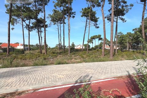 Helårsgrund i Almada, Setubal, Almada - € 1.100.000 | Ref: TER_1370 - foto 6